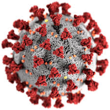 Covid-19 - SARS-CoV-2 virus
